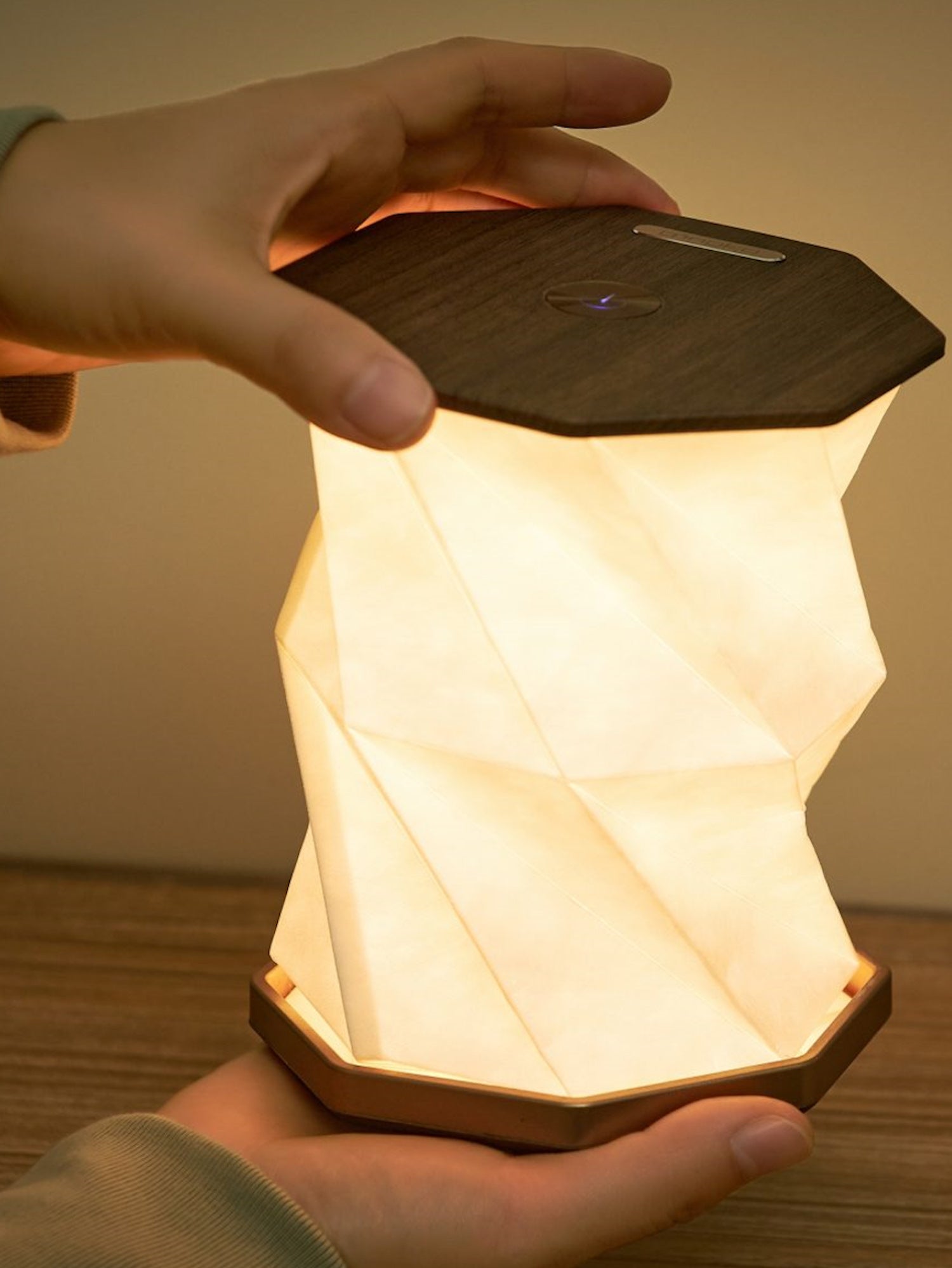 Gingko - Twist hexagon lampe