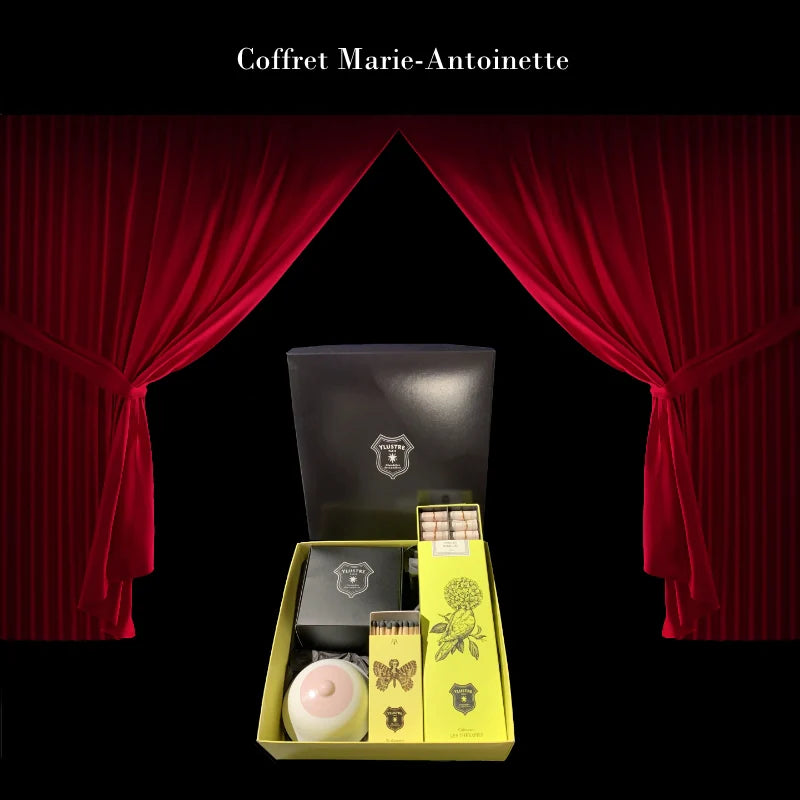 Ylustre-Coffret-Marie-Antoinette-artydandy-1.webp